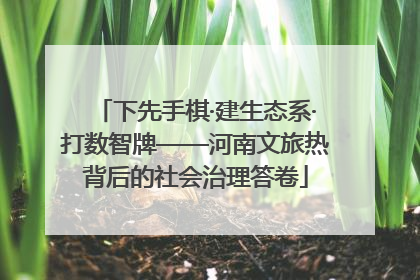 下先手棋·建生态系·打数智牌——河南文旅热背后的社会治理答卷